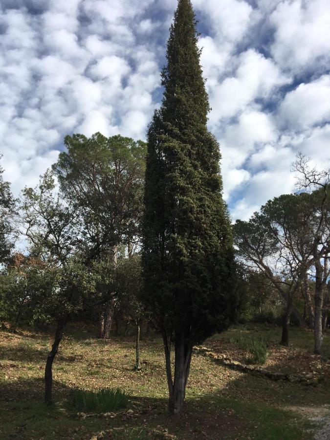 לינה וארוחת בוקר ור פון דו גאר Les Marguerites מראה חיצוני תמונה