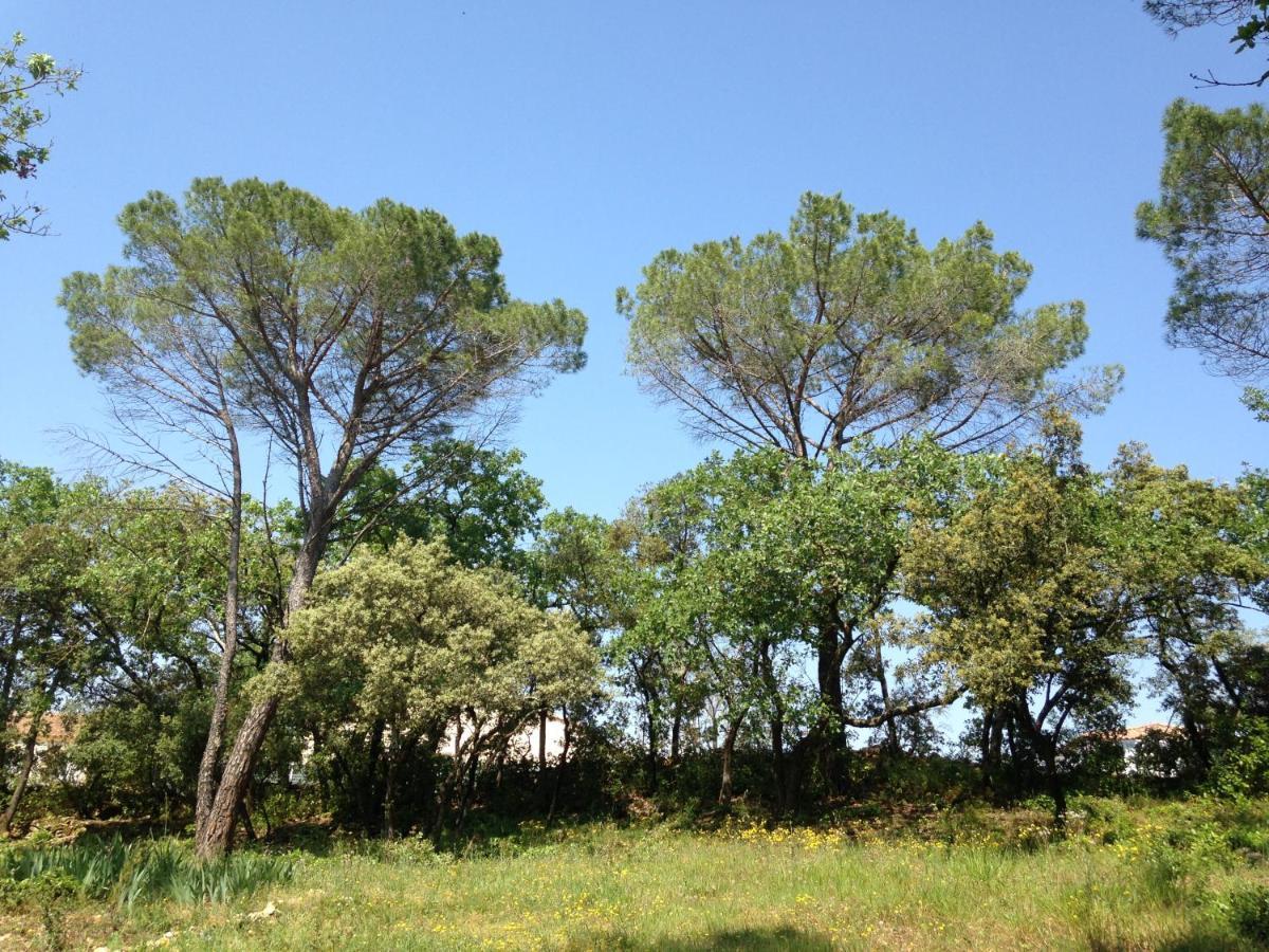 לינה וארוחת בוקר ור פון דו גאר Les Marguerites מראה חיצוני תמונה